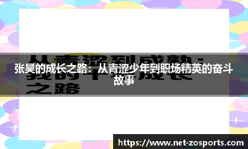 中欧体育官方网站